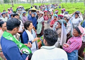 असम विधानसभा चुनाव में प्रचार के लिए कल्पना सोरेन उतरीं, चाय बागान पहुंचीं